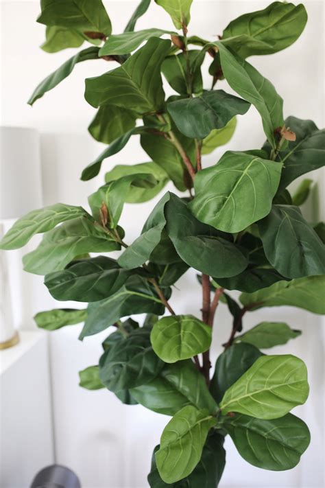 are fake plants okay
